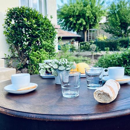 Le Beethoven Villa Colmar Kültér fotó