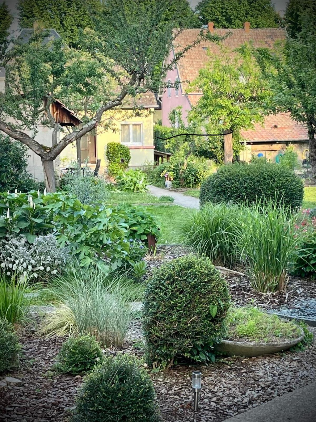 Le Beethoven Villa Colmar Kültér fotó